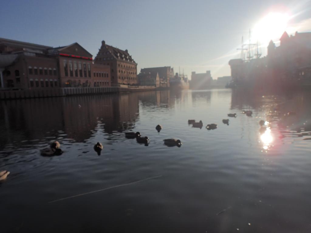 Apartament Nadmorski Gdansk Sopot Rom bilde
