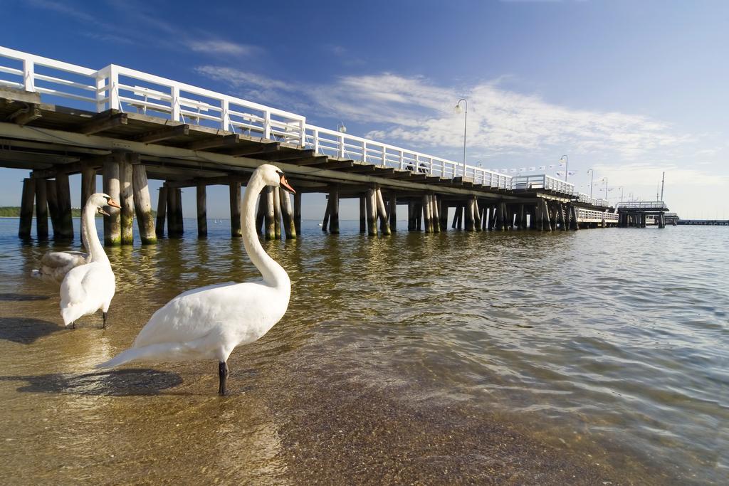 Apartament Nadmorski Gdansk Sopot Rom bilde